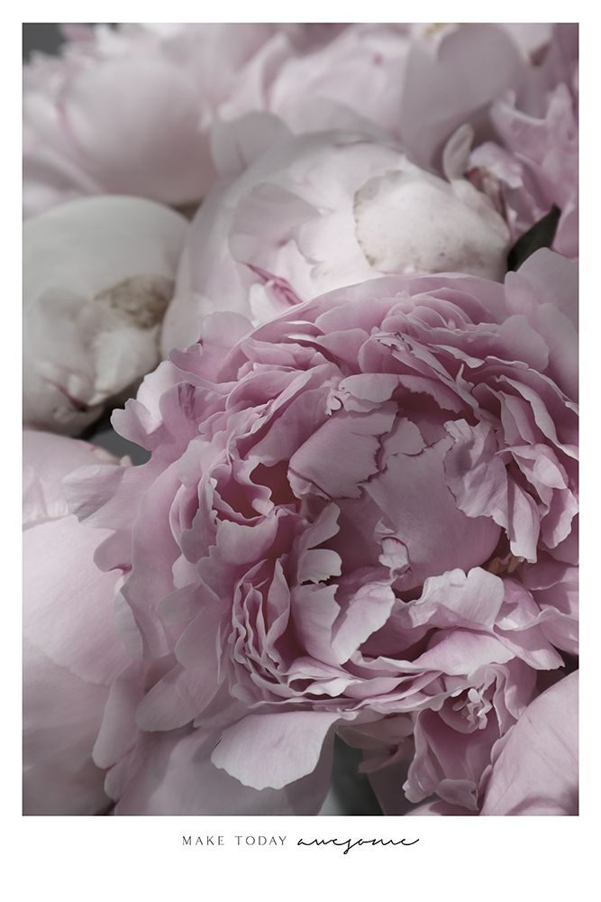 Make Today Awesome Peonies art print by Rosana Laiz Blursbyai for $57.95 CAD