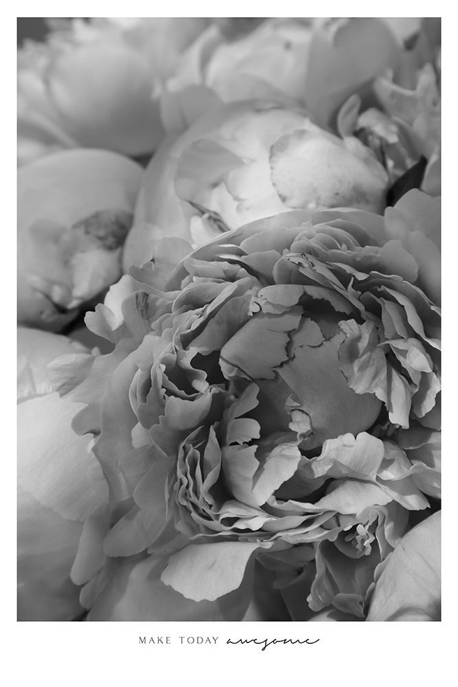 Make Today Awesome Peonies Bw art print by Rosana Laiz Blursbyai for $57.95 CAD