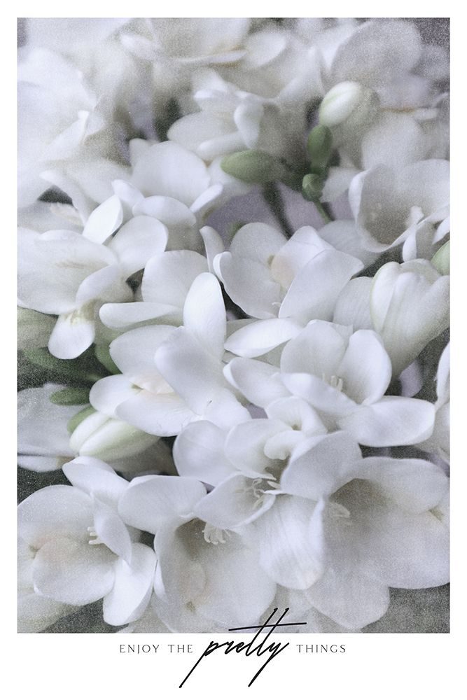 Distressed Freesias Iii art print by Rosana Laiz Blursbyai for $57.95 CAD