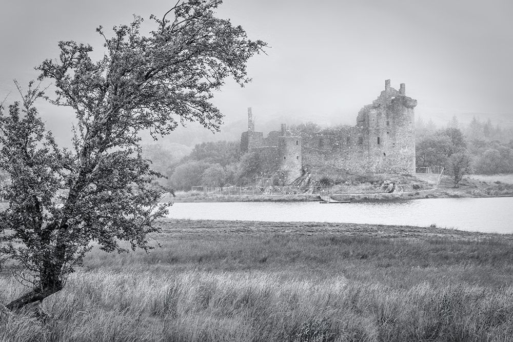 A Wet Scenery art print by Rainer Inderst for $57.95 CAD