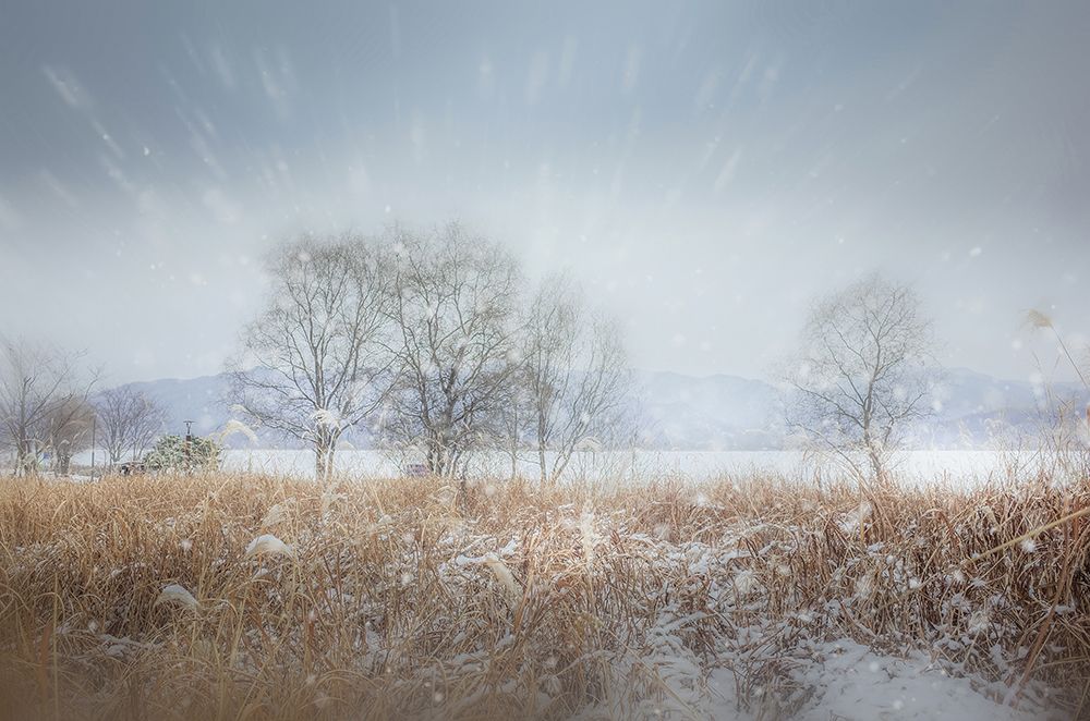 Dreamy White art print by YoungIl Kim for $57.95 CAD