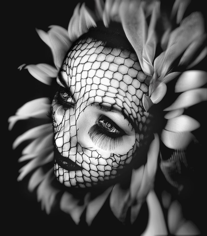 The Flower art print by Oren Hayman for $57.95 CAD