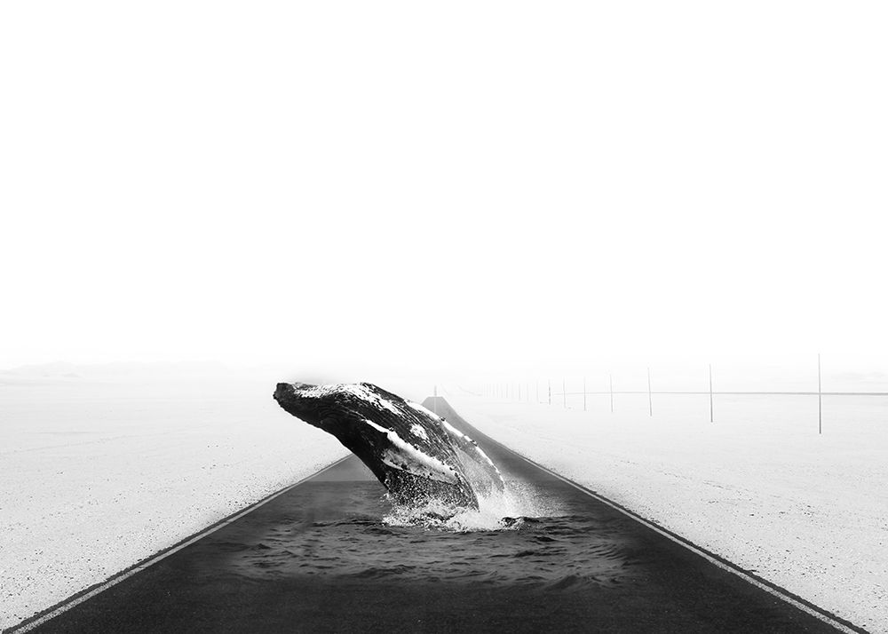 Whale art print by Salome Zhividze for $57.95 CAD