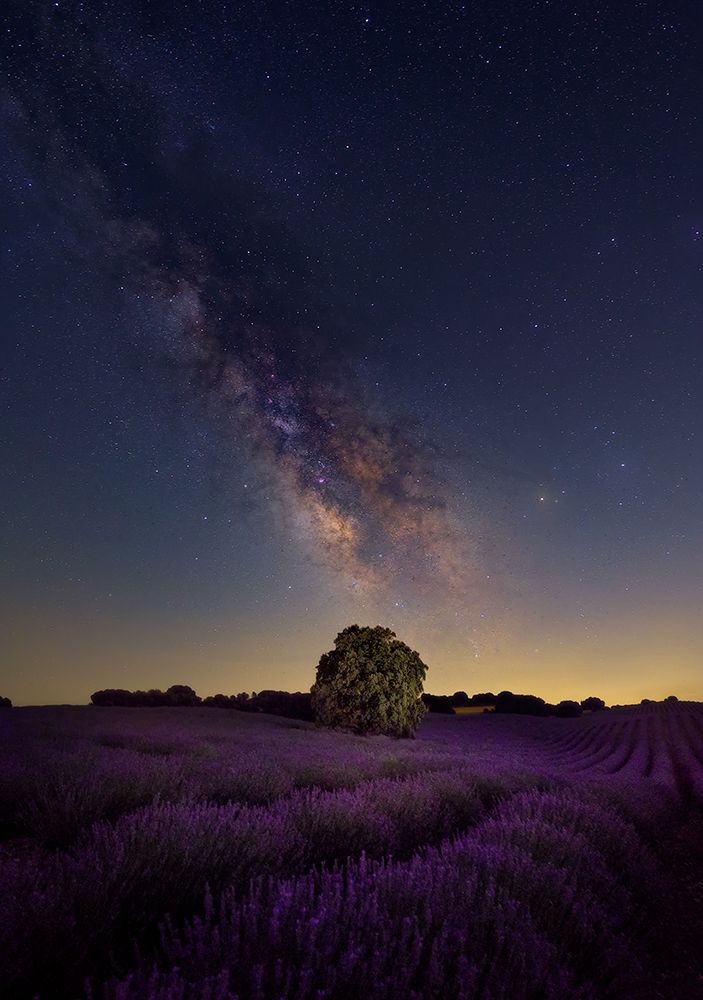 Milky Way Dreams art print by Carlos Hernandez Martinez for $57.95 CAD