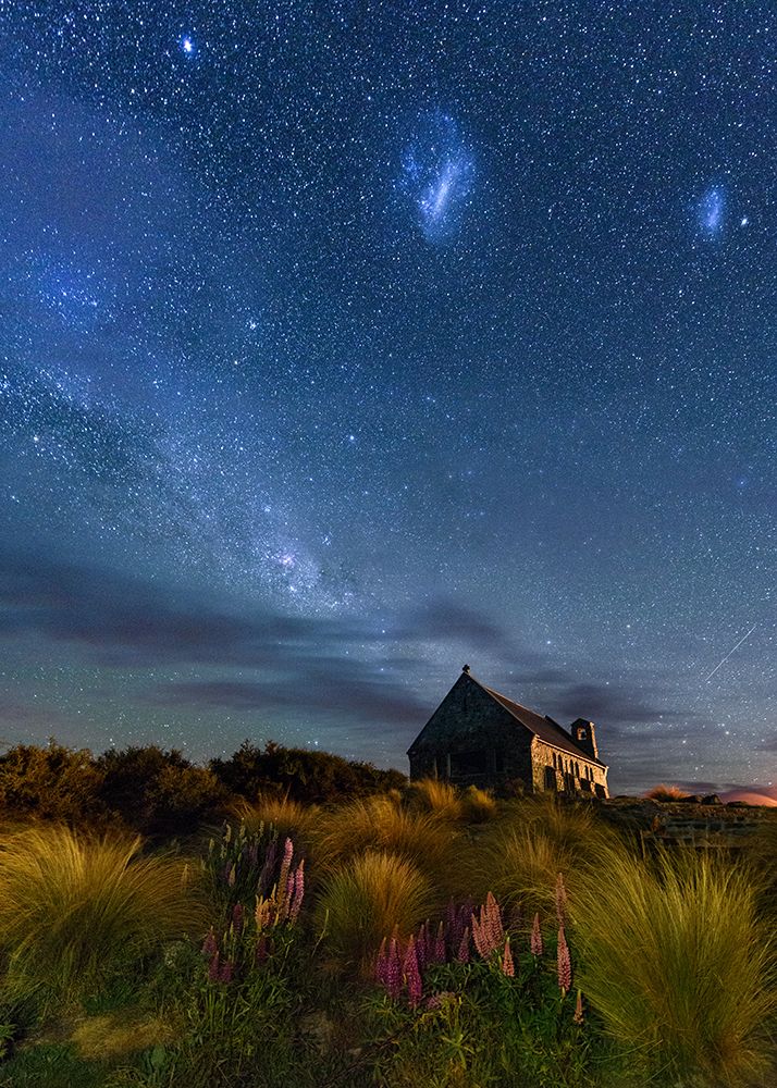 Lupins Milkway Of Lake Tekapo art print by James Zhen Yu for $57.95 CAD