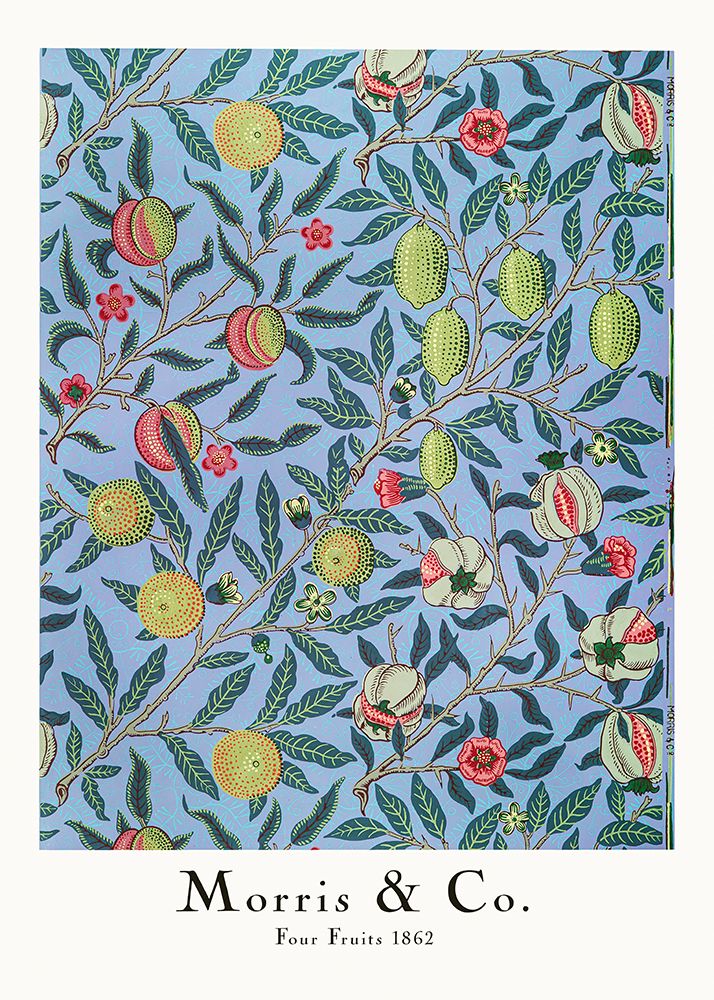 Four Fruits art print by Pictufy for $57.95 CAD