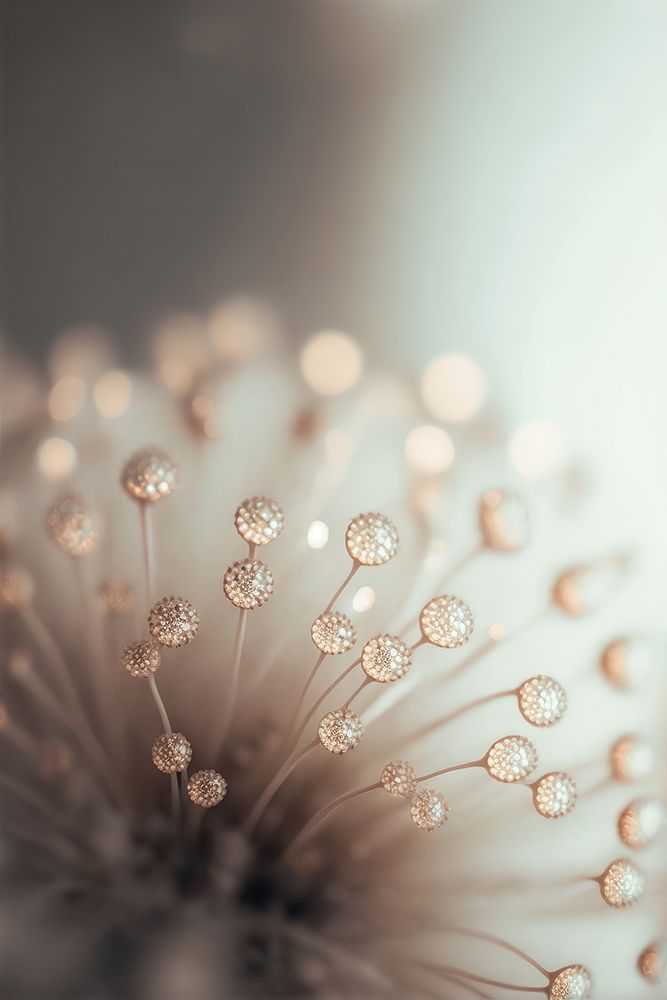 Glassy Flower art print by Treechild for $57.95 CAD