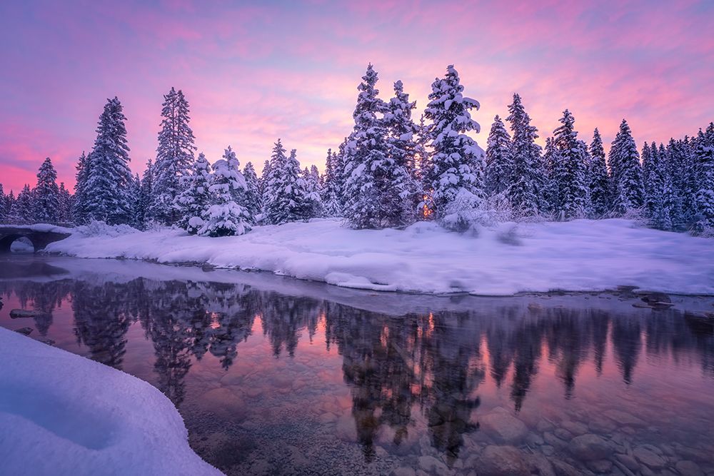 Forest Morning art print by Yongnan Li for $57.95 CAD