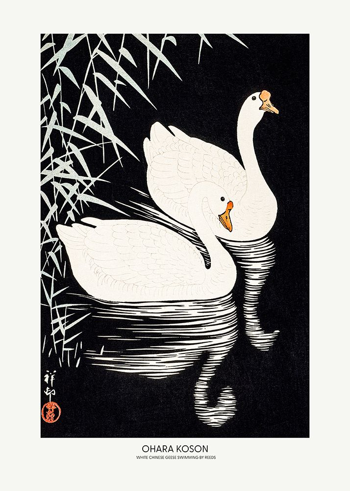 White Chinese Geese Swimming by Reeds art print by Pictufy for $57.95 CAD