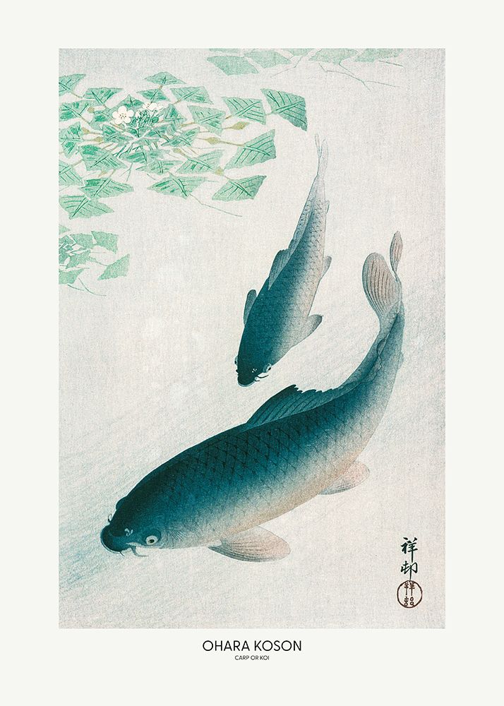 Carp Or Koi art print by Pictufy for $57.95 CAD
