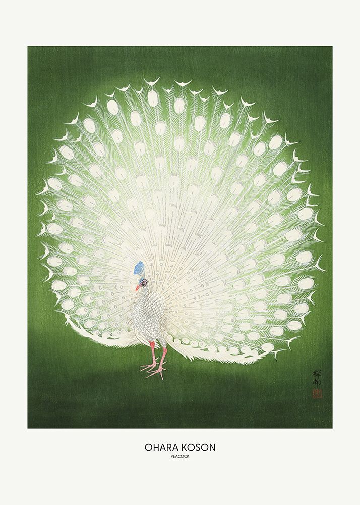 Peacock - Wide art print by Pictufy for $57.95 CAD