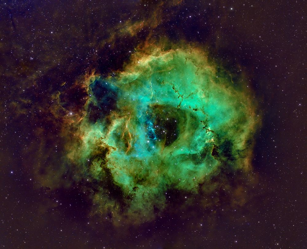 Rosette Nebula Hubble Plate art print by James Zhen Yu for $57.95 CAD
