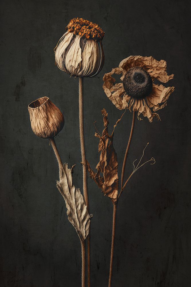 Dry Beauties art print by Treechild for $57.95 CAD