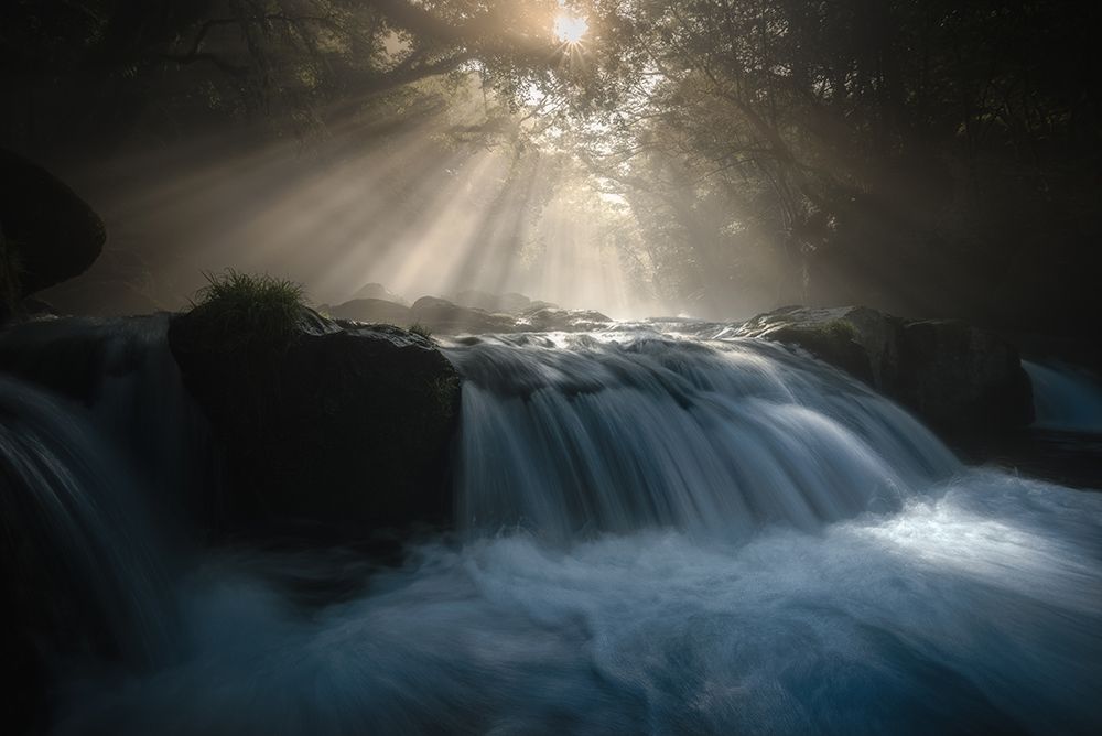 Natural Light art print by Daiki Kuroda for $57.95 CAD