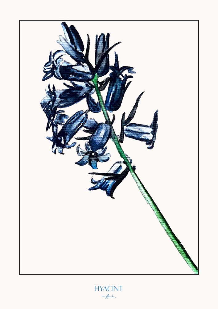 Hyacint art print by Annika John for $57.95 CAD