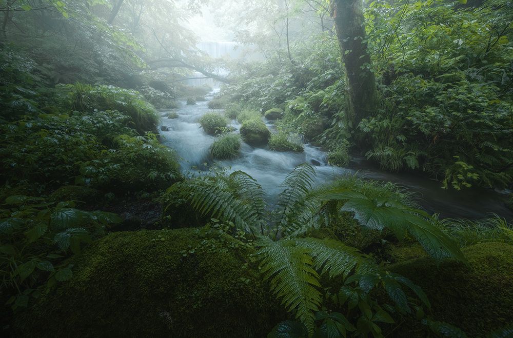 Fresh Green Waterside art print by Daiki Kuroda for $57.95 CAD