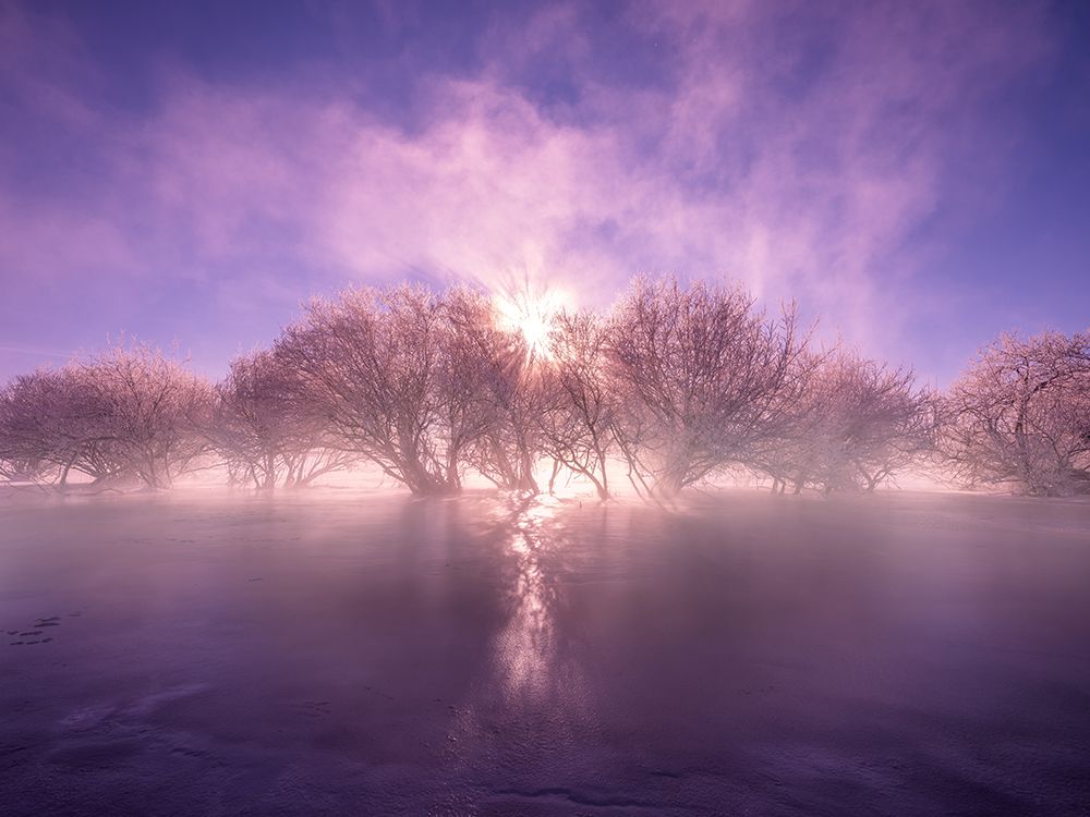 Misty Winter Sunrise art print by Cai mimg for $57.95 CAD