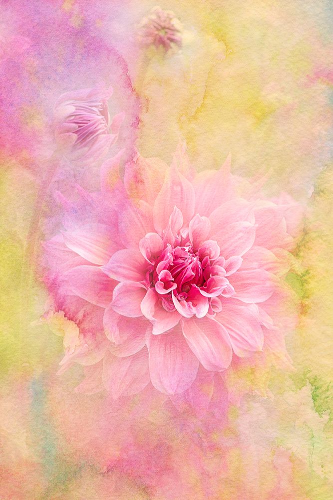 Drift art print by Jacky Parker for $57.95 CAD