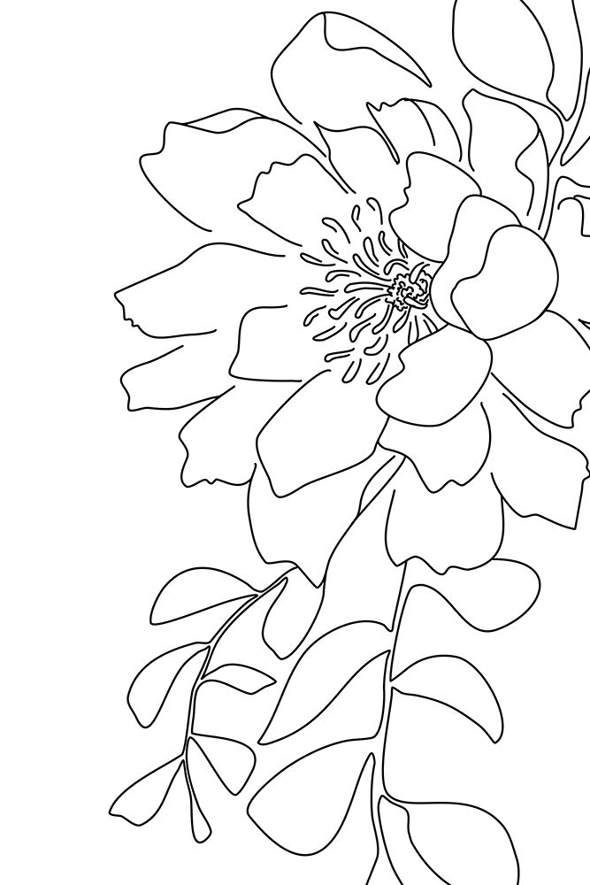 Loli peony line art art print by Rosana Laiz Blursbyai for $57.95 CAD