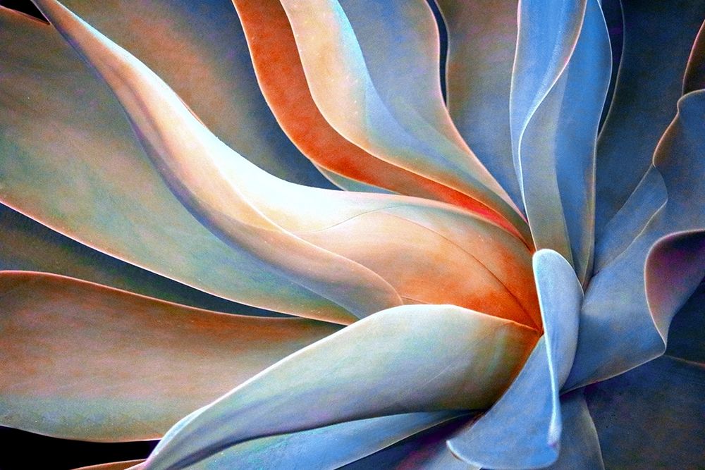 The Pastel Side Of Winter 2023 art print by Robin Wechsler for $57.95 CAD