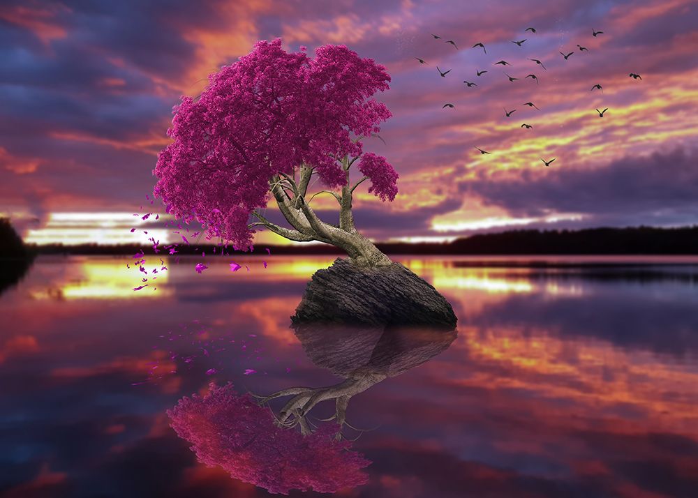 A lonely tree art print by Salome Zhividze for $57.95 CAD