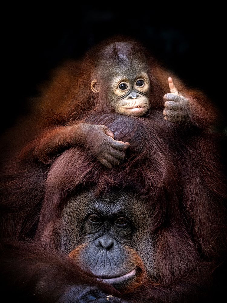 Thumb Up art print by Prabu Dennaga for $57.95 CAD