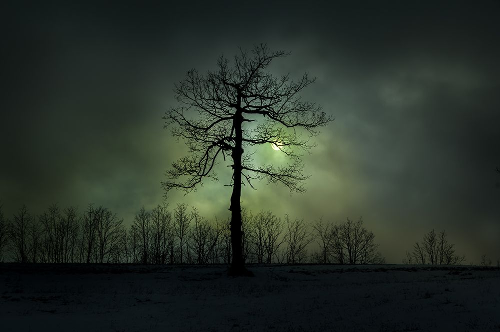 Mystery art print by Alessandro Traverso for $57.95 CAD