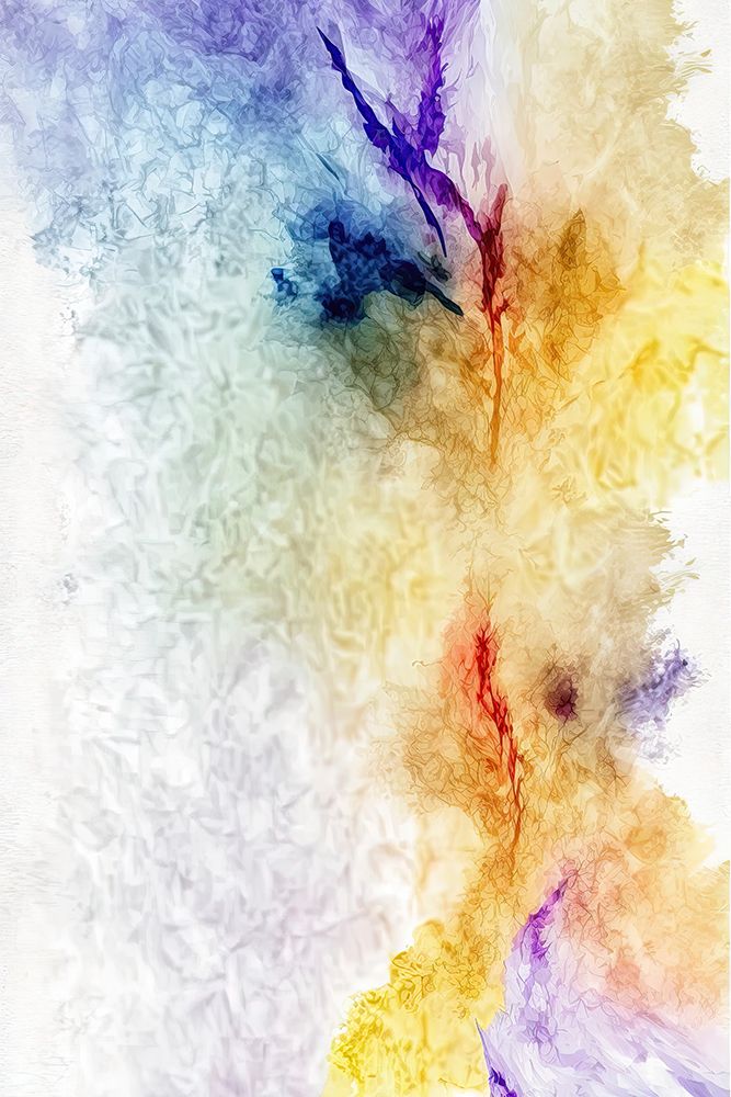 Field of ... art print by Mauro for $57.95 CAD