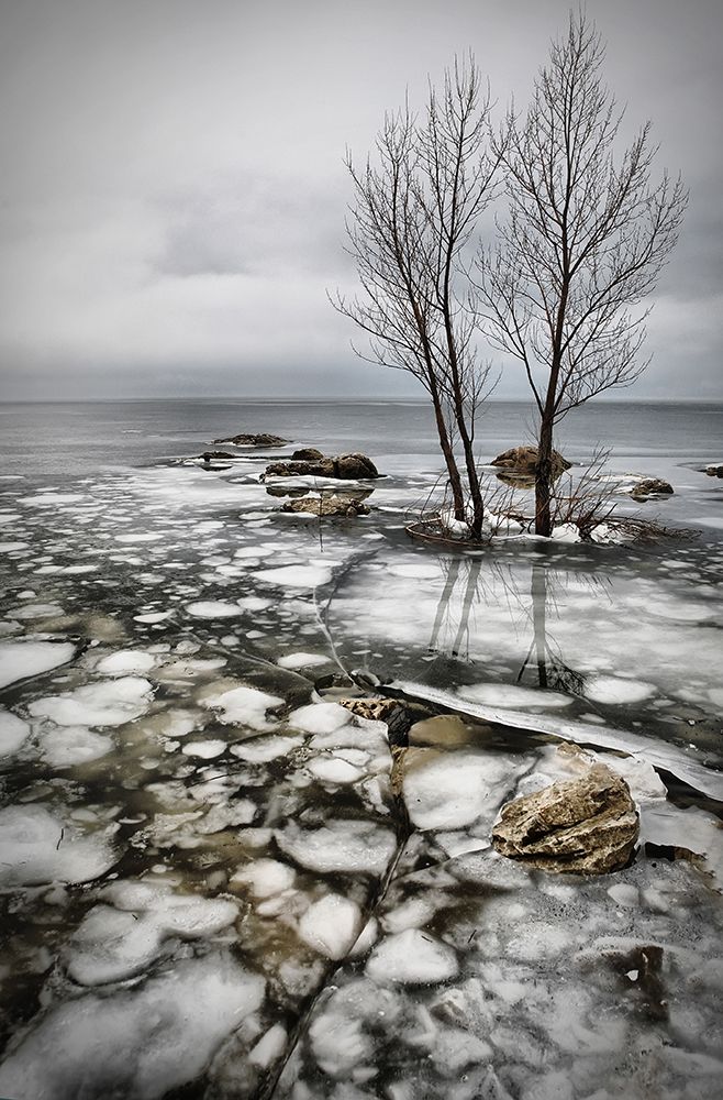 Frozen Lake art print by Vedran Vidak for $57.95 CAD