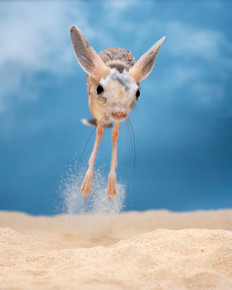 Running art print by Tantoyensen for $57.95 CAD
