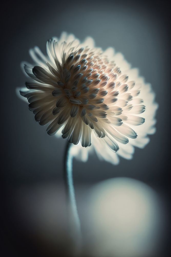 Pastel Beauty art print by Treechild for $57.95 CAD