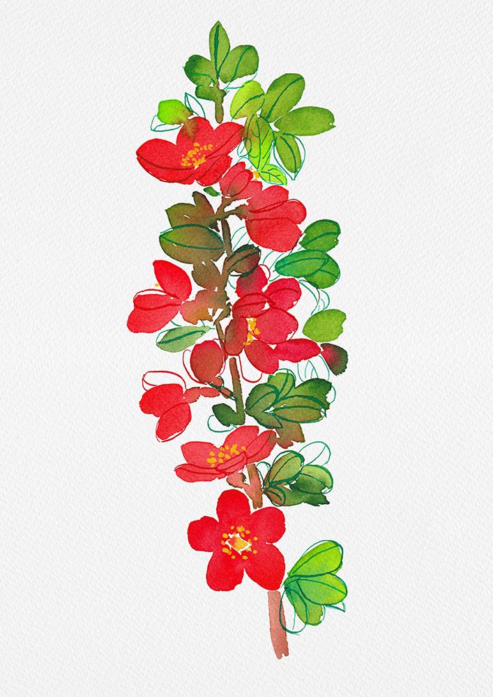 Japanese quince or Chaenomeles japonica botanical painting art print by Kata Botanical for $57.95 CAD