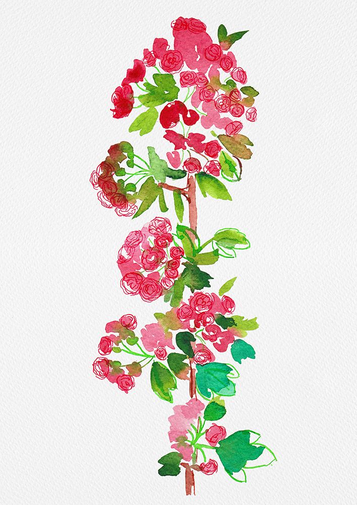 Crataegus laevigata Pauls Scarlet art print by Kata Botanical for $57.95 CAD