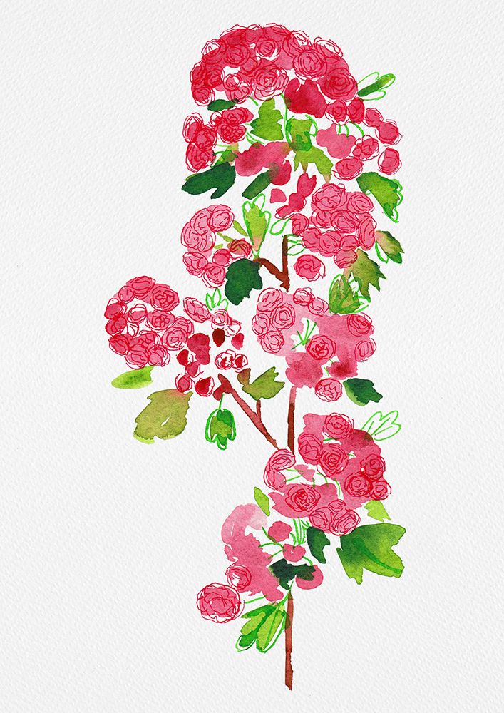 Crataegus laevigata Pauls Scarlet botanical painting art print by Kata Botanical for $57.95 CAD