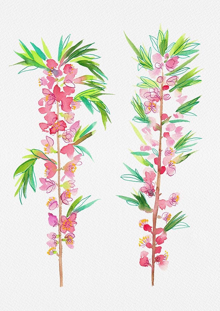Dwarf Russian almond or Prunus tenella botanical painting art print by Kata Botanical for $57.95 CAD