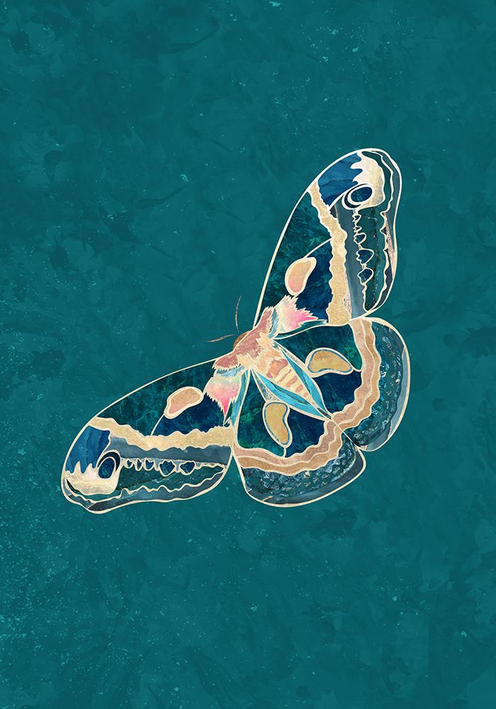 Turquoise Gold Moth Butterfly art print by Sarah Manovski for $57.95 CAD