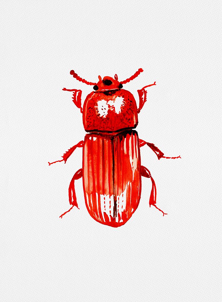 Uloma culinaris art print by Kata Botanical for $57.95 CAD