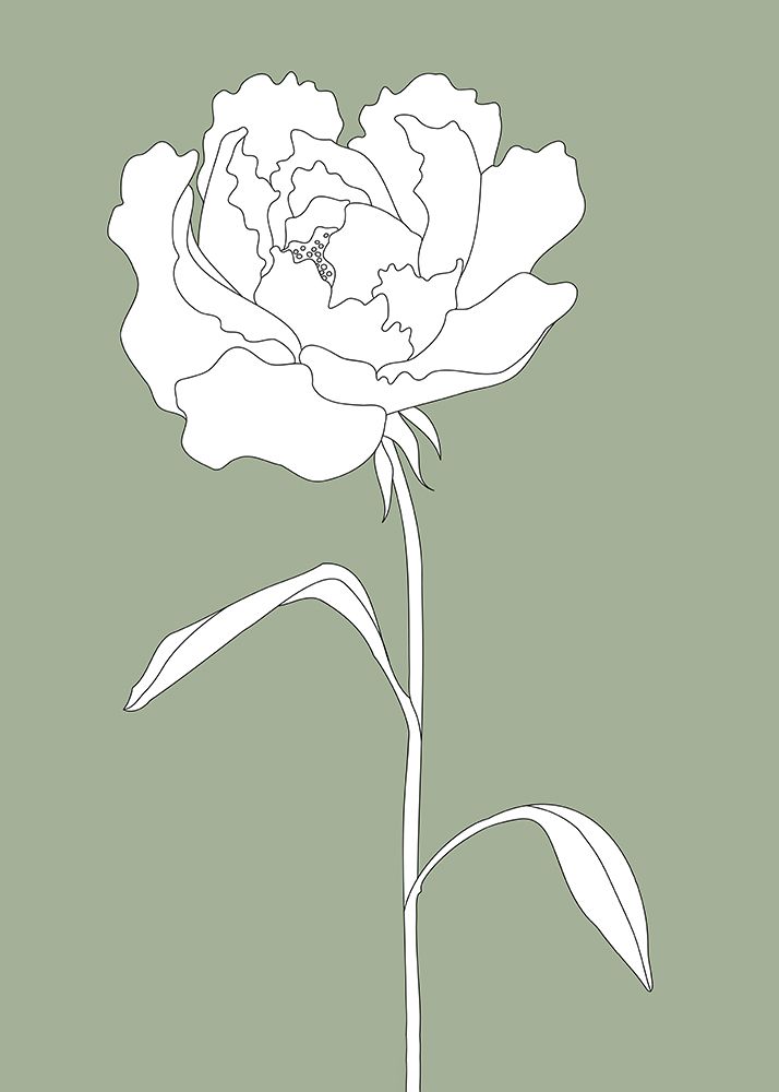 Rose in Green art print by Pictufy Studio II for $57.95 CAD
