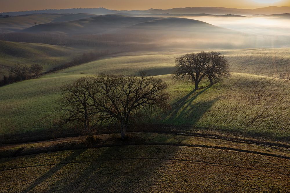 Tuscan Morning art print by Jure Kravanja for $57.95 CAD