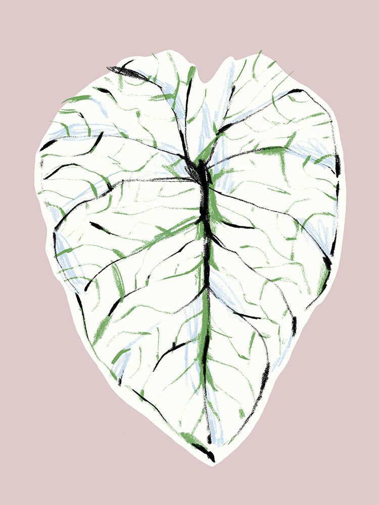 Alocasia Melo Light art print by Francesco Gulina for $57.95 CAD