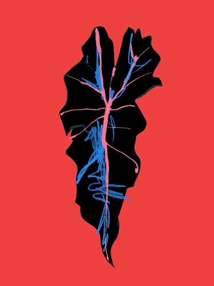 Alocasia Polly Red art print by Francesco Gulina for $57.95 CAD