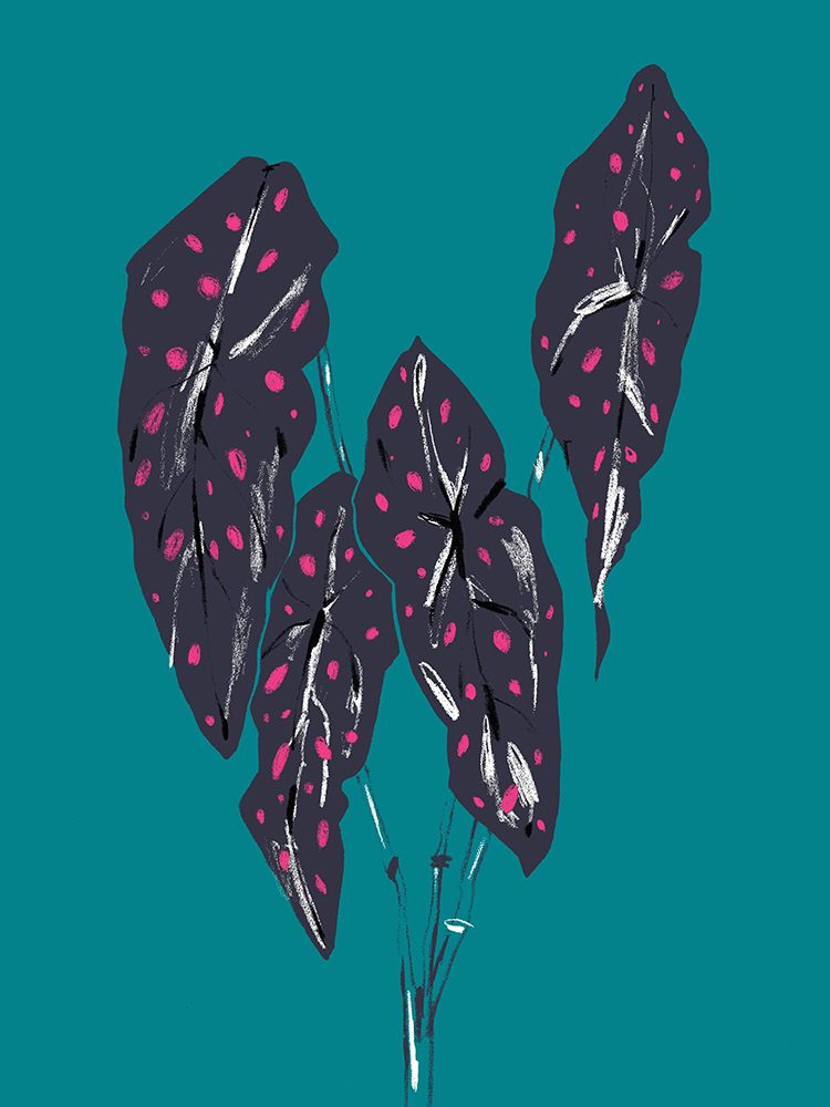Begonia Maculata Dark art print by Francesco Gulina for $57.95 CAD