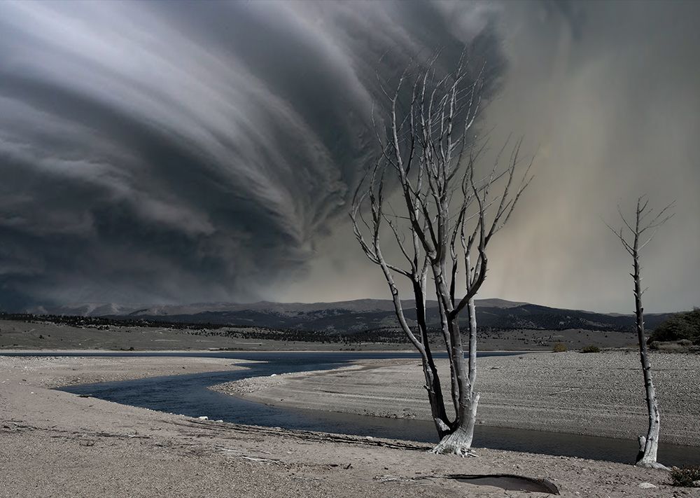 Thirsty Land art print by Yvette Depaepe for $57.95 CAD