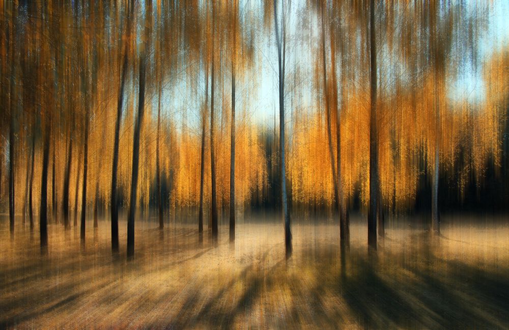 Autumn art print by Alexander Kiyashko for $57.95 CAD
