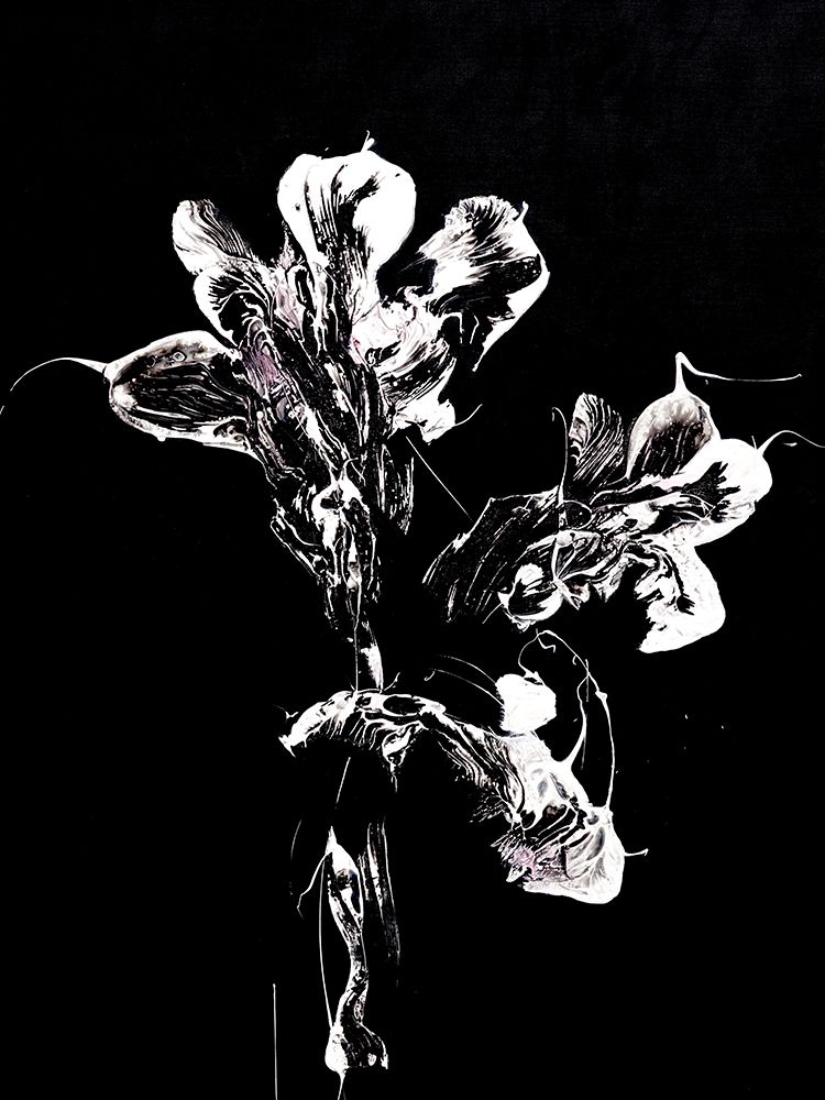Midnight Disguise art print by Francoise Wattre for $57.95 CAD