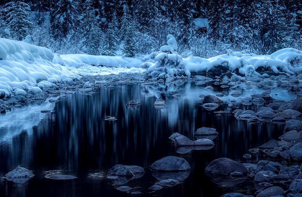 Little pond art print by Alex Lu for $57.95 CAD