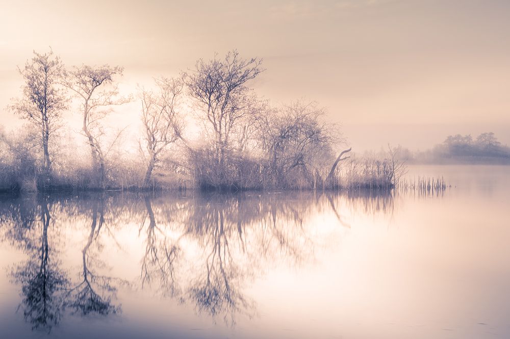 Cold Morning At The Pond art print by Ina Bouhuijzen for $57.95 CAD