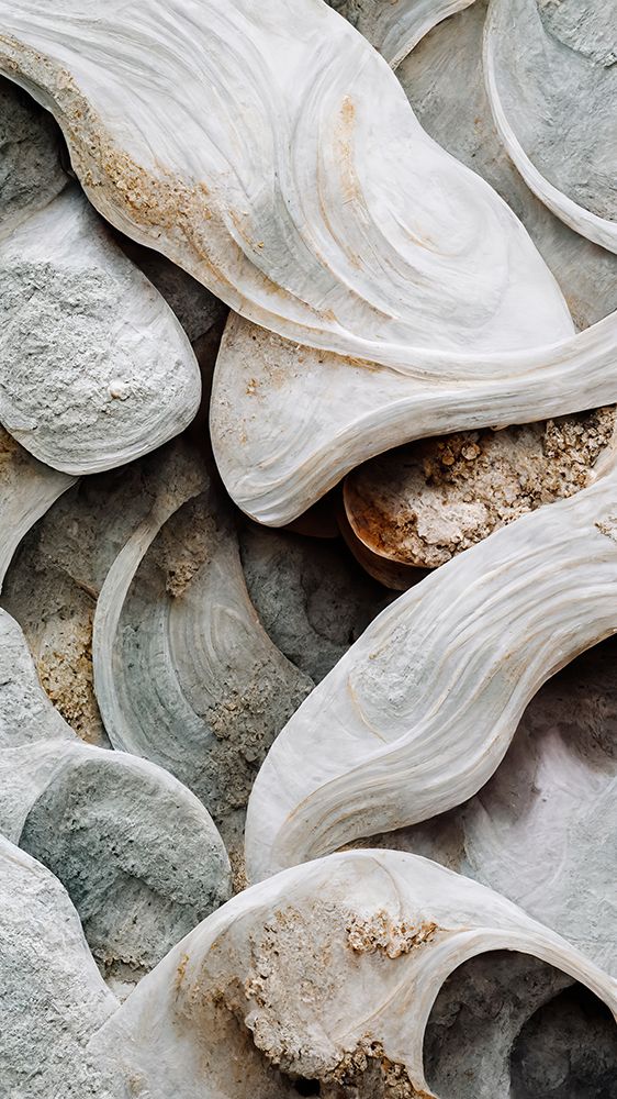 Sea Shells Detail No 3 art print by Treechild for $57.95 CAD