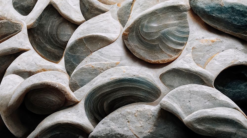 Sea Shells Detail No 5 art print by Treechild for $57.95 CAD