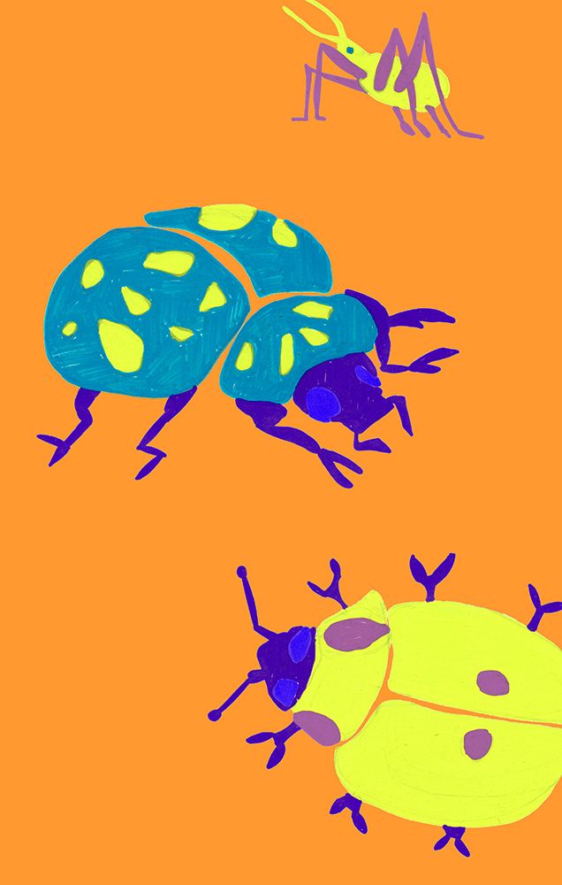 Sunny Ladybugs art print by Ania Zwara for $57.95 CAD